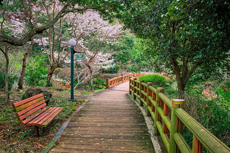 济州岛上的济州岛，韩国。Jeju Olle Trail，济州岛，韩国