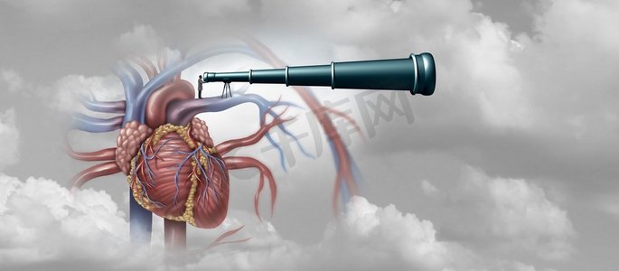 人类心脏研究心脏病专家和心脏病科学研究人员医学作为人体器官解剖学循环血管系统的概念