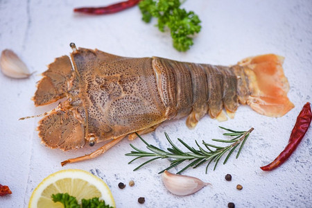 生平头龙虾虾配香草和香料，新鲜拖鞋龙虾平头，供海鲜餐厅或海鲜市场烹饪