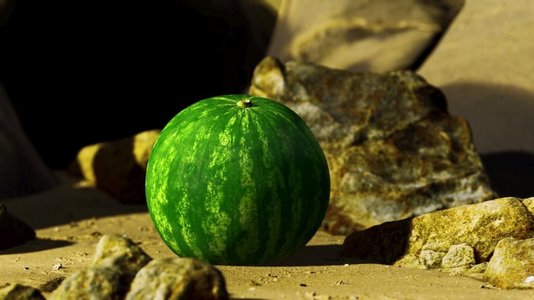 美丽沙滩上的新鲜西瓜