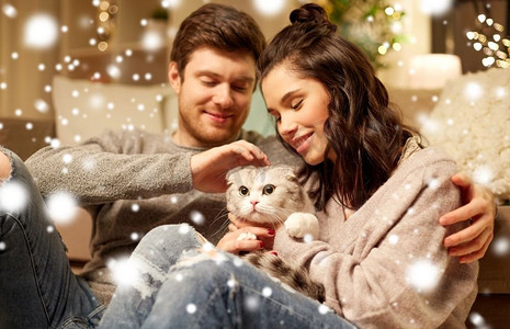 淘宝天猫字体摄影照片_宠物，圣诞节和人的概念—快乐的夫妇与猫在家里超过雪。快乐的夫妇与猫在家里
