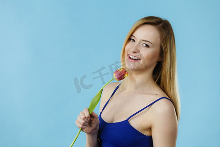 拍摄的女人拿着浪漫的郁金香。妇女节礼物。工作室拍摄在蓝色背景。拍摄在蓝色的女人拿着郁金香