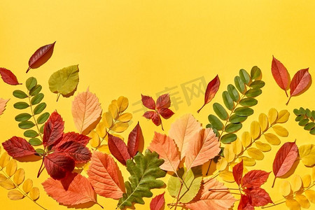手工制作的五彩叶子图案在一个黄色背景与硬阴影。贺卡秋天背景手工从五颜六色的叶子。