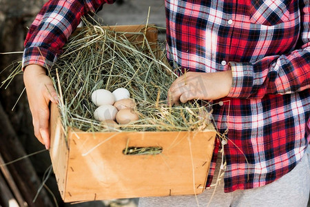 男子红色方形衬衫抱盒与巢鸡蛋