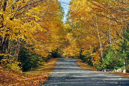 美国缅因州的秋天之路。