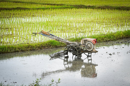 国家环境摄影照片_步行拖拉机在稻田的工作犁农田准备耕作农业亚洲/稻田种植在雨季  
