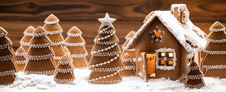 姜饼屋和圣诞冷杉树冬季节日庆祝概念。姜饼屋和树木