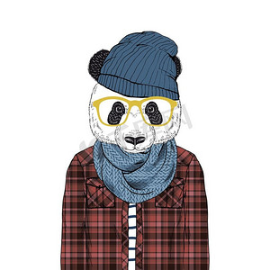 卡通动物熊猫摄影照片_穿着格子衬衫的熊猫熊时髦的帽子和编织围巾，毛茸茸的艺术例证，时尚动物