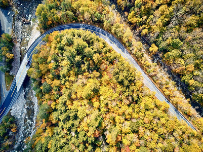 风景莫霍克小径蜿蜒的公路在秋天，马萨诸塞州，美国.秋天在新英格兰。空中无人机射击。 