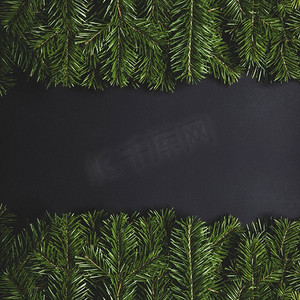 松树圣诞树分支在黑色纸背景平奠定顶视图模型。松枝黑纸