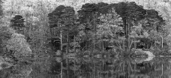 黑白惊艳的湖区森林景观中的帝王公园秋色生机盎然