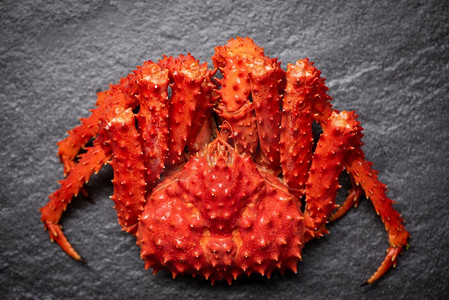 小红书框摄影照片_阿拉斯加国王蟹熟蒸汽或煮海鲜在黑暗背景—红蟹北海道