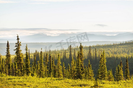 加拿大北极圈上空的苔原景观。美丽的鼓舞人心的自然背景。