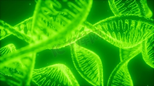 DNA双螺旋动画的结构，DNA分子和生物胶片的概念。DNA双螺旋动画的结构