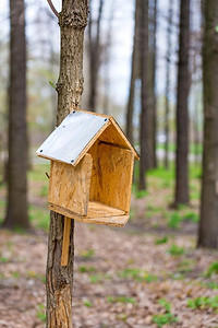 手工制作的鸟屋由纸板和锌在树林在春天