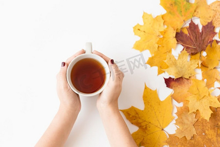 干树叶摄影照片_ 杯子，杯子，秋天，叶子