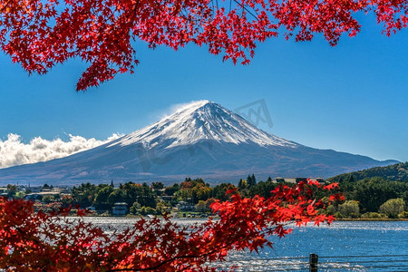 富士山摄影照片_ 秋天，秋天，颜色，背景