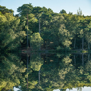宁静湖面摄影照片_宁静湖面映照出美丽的夏日乡村林地山水意象