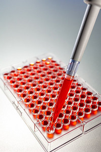 实验室血液检测或实验室检测血液样本或红色溶液，使用移液管和96孔细胞托盘