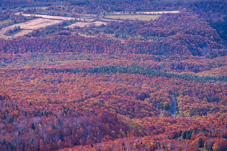 鸟瞰图红色的叶子秋天秋天季节森林沼泽地从Hakkoda山在青森东北日本