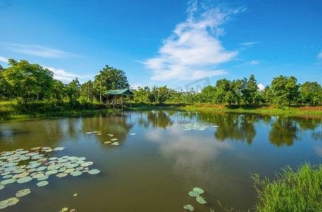 池塘荷花睡莲/湖光明媚，湖光水秀，碧空蓝天