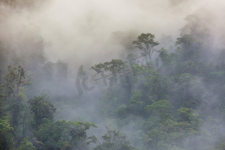 哥斯达黎加的宁静云林
