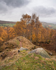 英国山顶区惊奇风景的美丽秋天景观