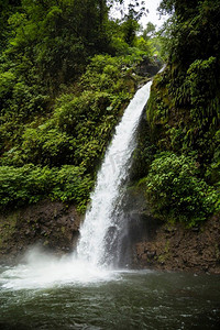 美丽的瀑布热带雨林哥斯达黎加