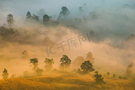 美丽的雾的日出雾覆盖的山森林景观顶视图/有树的山脉在农村
