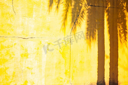 棕榈树的影子在黄色的墙上