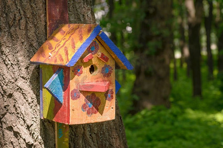 春天在树林里用纸板和锌制成的手工鸟舍