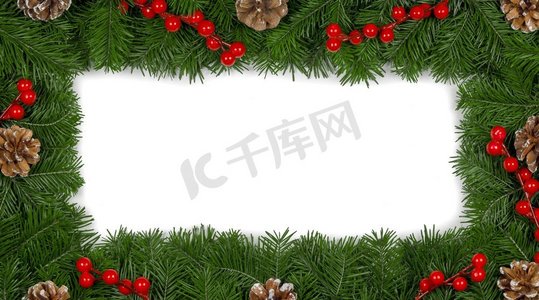 天然冷杉圣诞树树枝框架，圆锥和红色浆果孤立在白色，复制文本空间。冷杉树枝框架在白色