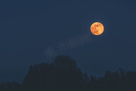 黄昏夜晚天空摄影照片_金色的月亮在黑暗的夜晚悬挂在树剪影在蓝色的夜空