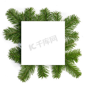 圣诞节边界安排与新鲜的冷杉枝隔绝在白色背景，文本复制空间。圣诞节边界冷杉树枝