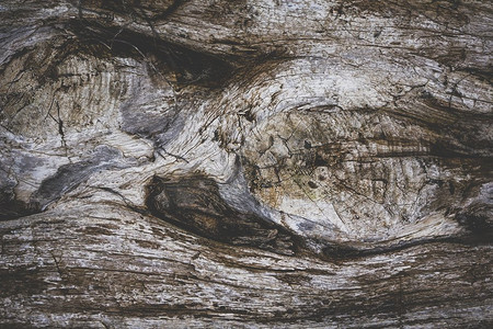 木材质地摄影照片_陈旧破旧的木质质地