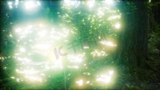逆风飞翔摄影照片_萤火虫在绿色的森林里飞翔。萤火虫在森林中飞翔