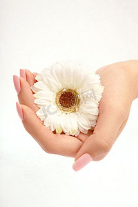 纵容摄影照片_白色的花在一把女性的手，孤立