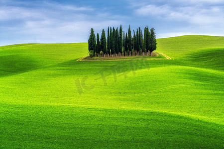 在蓝天下的绿色山丘景观与柏树在托斯卡纳的乡村在意大利。春天和夏天的自然背景。