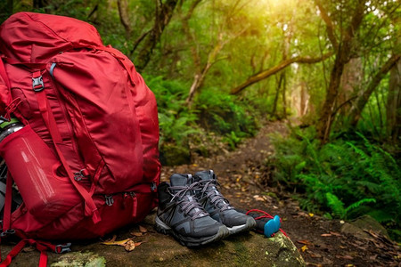 红色背包和徒步旅行装备设置在岩石在热带雨林塔斯马尼亚，澳大利亚。徒步旅行和露营冒险。