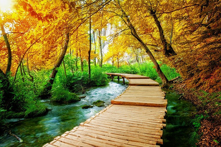 秋天木板背景摄影照片_ 美丽，美丽，木板路，惊人