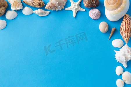 海洋生物和夏天概念—框架不同的海贝壳在蓝色背景。框架不同的海贝壳在蓝色背景