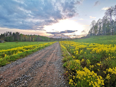 风景地面摄影照片_美丽的早晨风景与地面道路在花草甸。农村地面公路