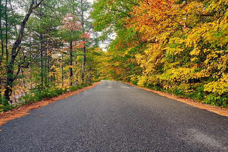 汉普郡摄影照片_秋天的风景与道路在白山国家森林，新罕布什尔州，美国.秋天在新英格兰。 