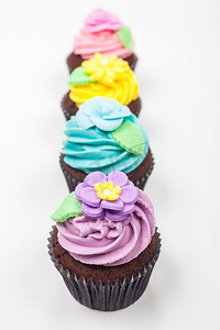 巧克力色布摄影照片_四个巧克力杯蛋糕与糖霜或糖霜，粉红色，紫色，蓝色和黄色与绿叶，拍摄在白色背景