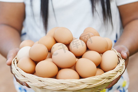 在篮子里的鸡蛋/拿着带有新鲜鸡蛋的木托盘的妇女农民从农场收集在农村