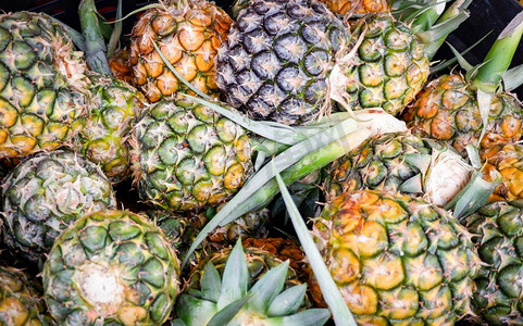 新鲜的菠萝纹理背景收获从菠萝花园热带水果在市场出售