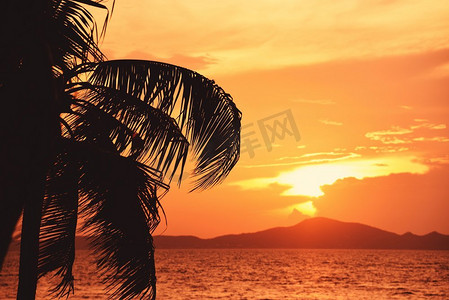 剪影椰子棕榈树日落海洋在热带海滩海夏天橙色天空和岛屿山背景