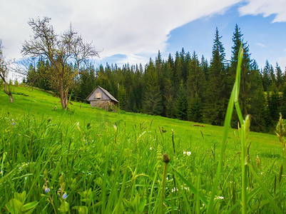 木屋在山上，阳光明媚的春天与绿色的草和开花的草地。 