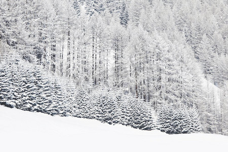 冬季山摄影照片_冬天风景与雪覆盖的树木的山林。冬季景观与森林
