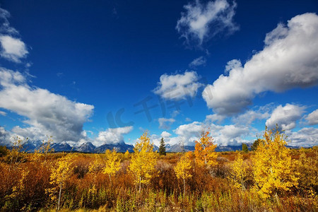 美国怀俄明州大提顿国家公园秋季的明亮色彩
